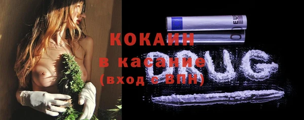 PSILOCYBIN Балабаново