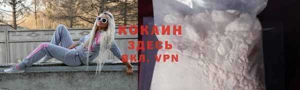 шишки Балахна