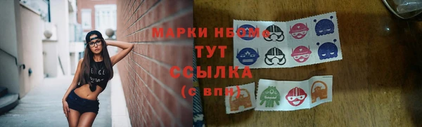 шишки Балахна