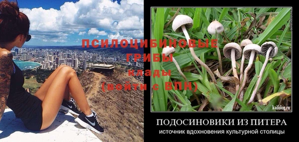 шишки Балахна