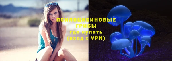шишки Балахна