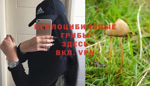а пвп мука Баксан
